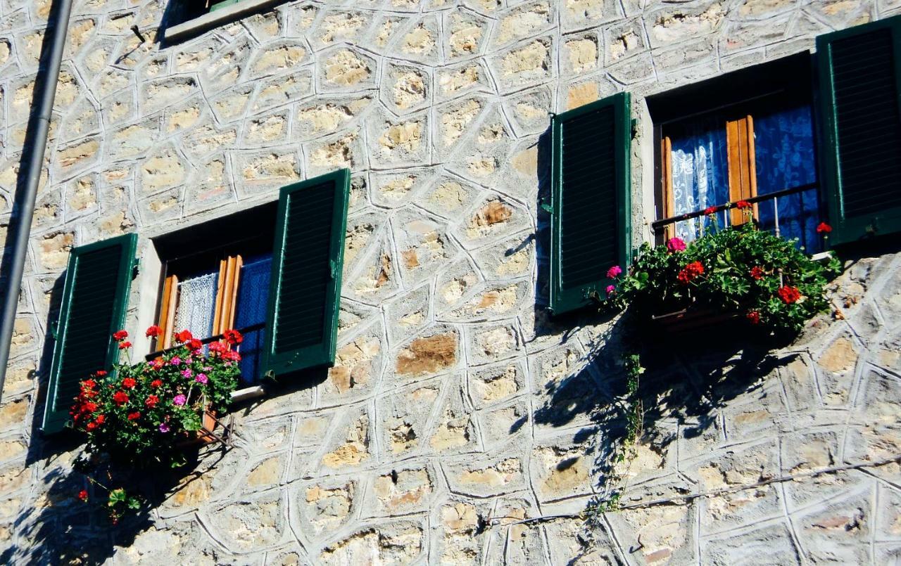 Andante Appartamenti Castelnuovo di Val di Cecina Exterior photo
