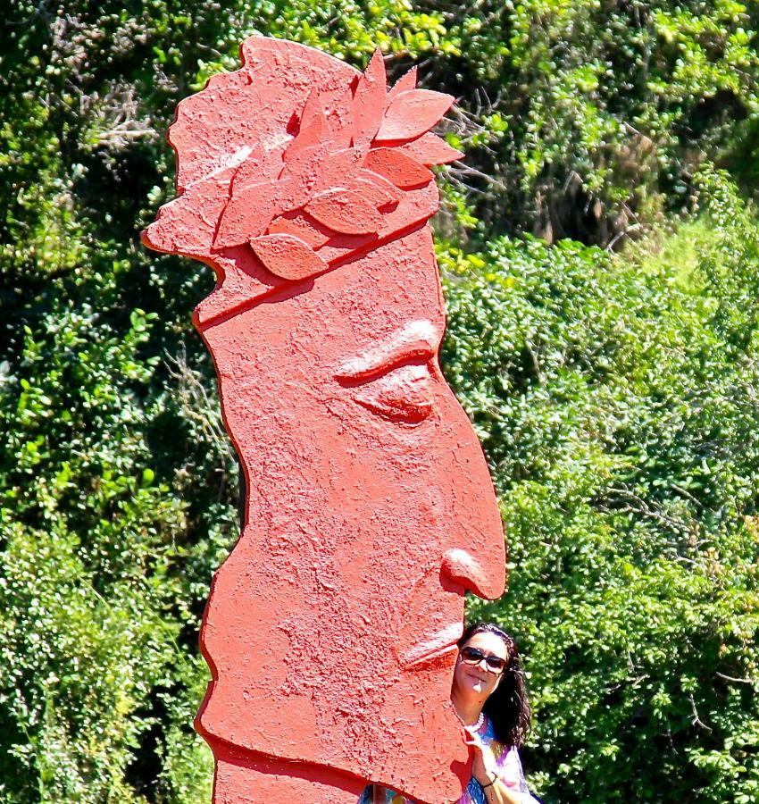 Andante Appartamenti Castelnuovo di Val di Cecina Exterior photo