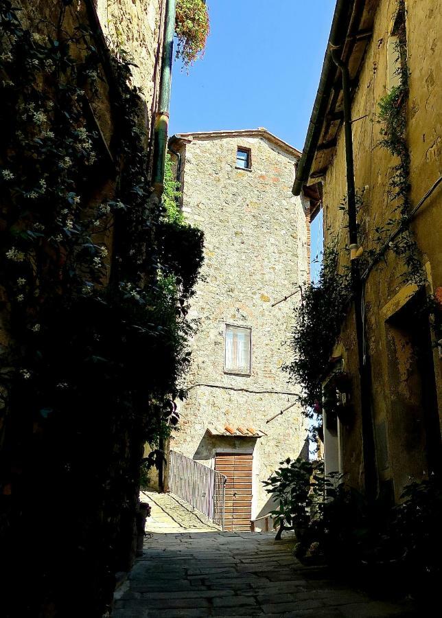 Andante Appartamenti Castelnuovo di Val di Cecina Exterior photo